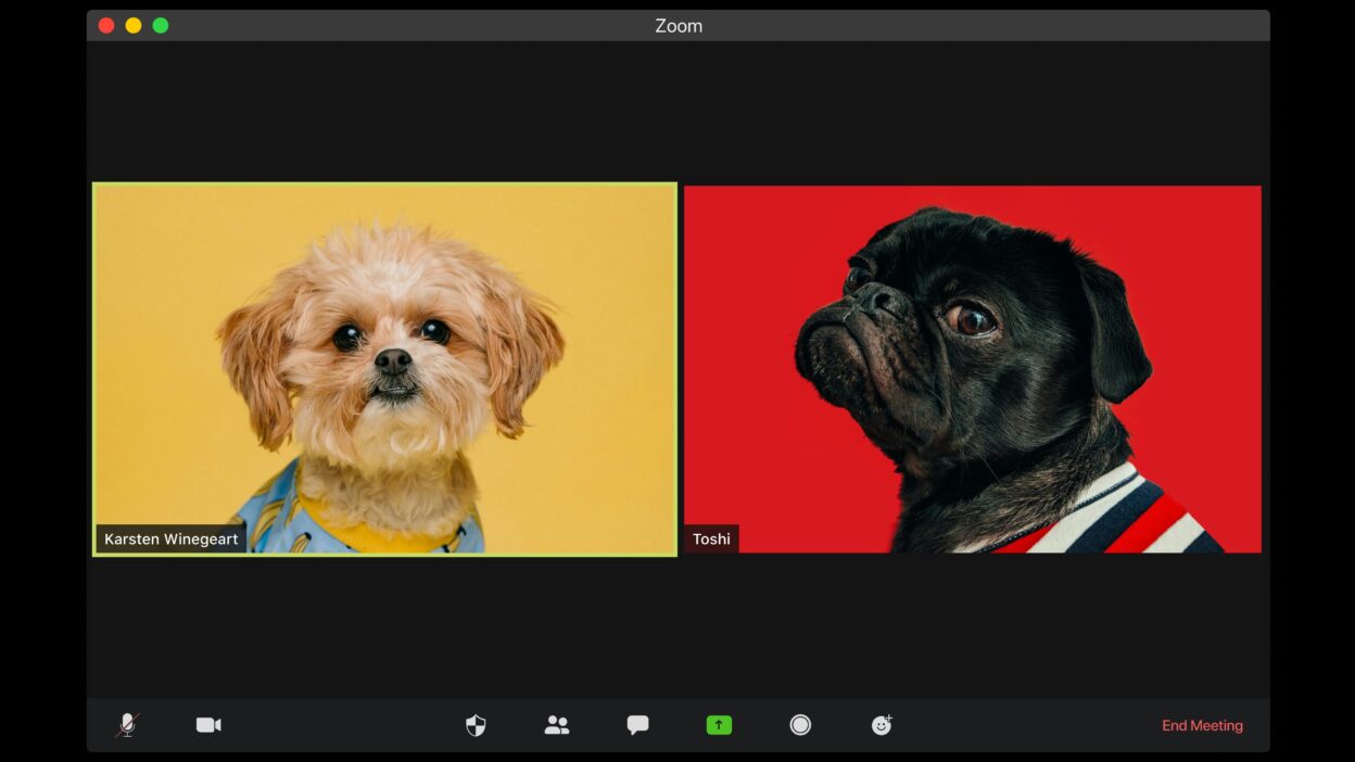 Logitech vs Neat barres de visioconférence tout en un, comment choisir ?